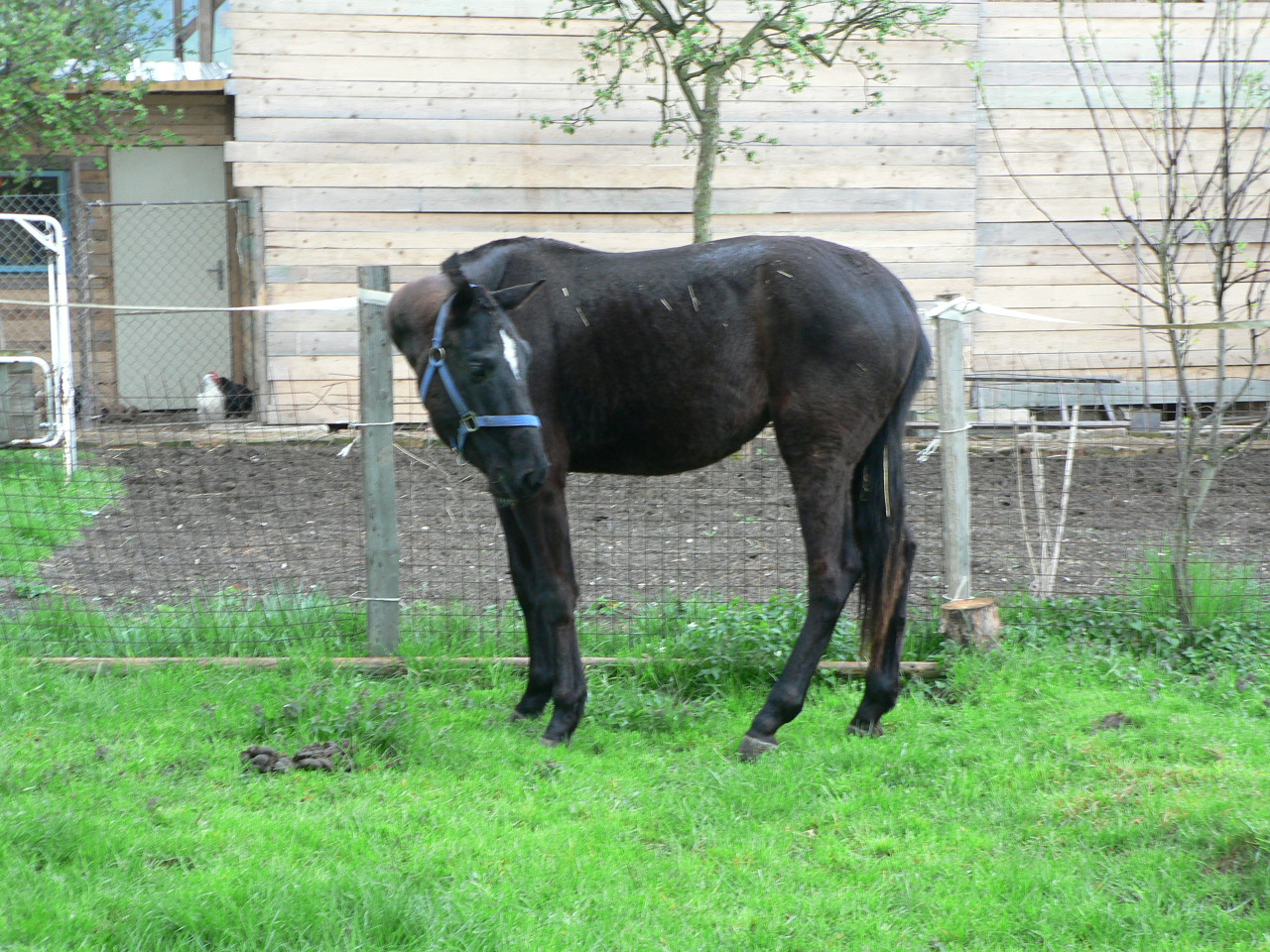 P1050014.JPG