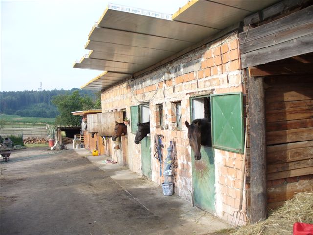 P1150132.JPG