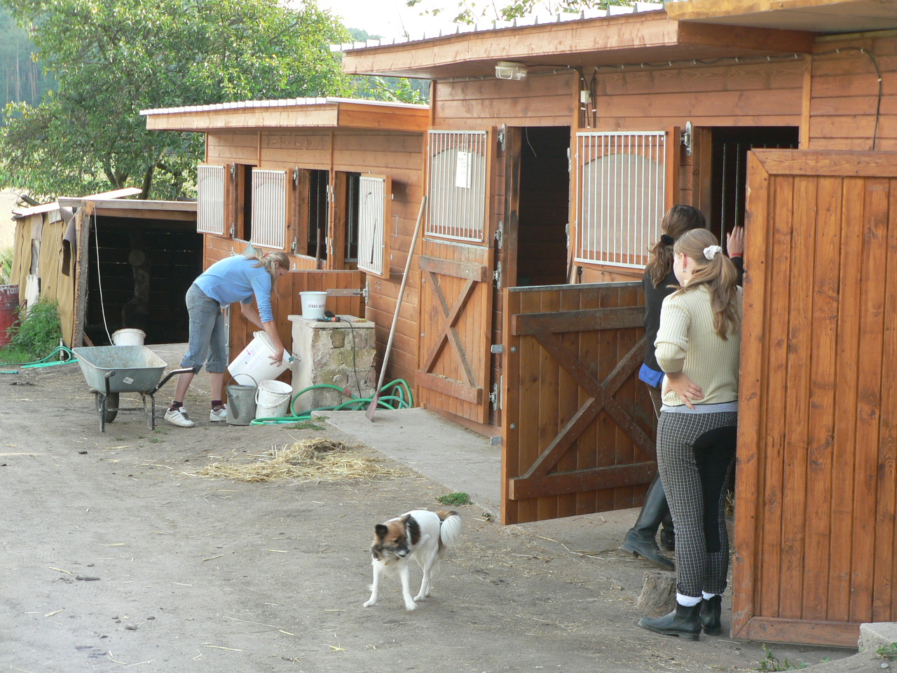 P1100284.JPG