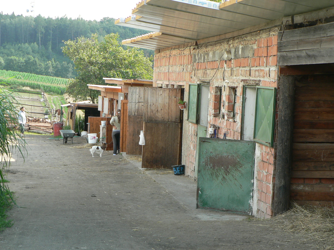 P1100285.JPG