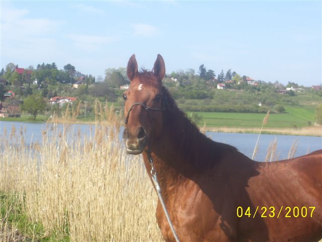 Snímek 088.jpg